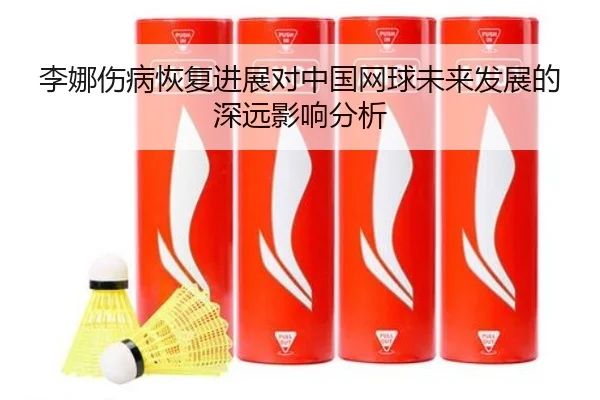 李娜伤病恢复进展对中国网球未来发展的深远影响分析